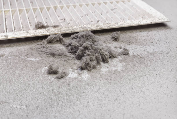 Best Commercial HVAC Duct Cleaning  in Sioux Falls, SD